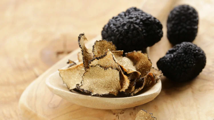 Italian Truffles: All You Need To Know