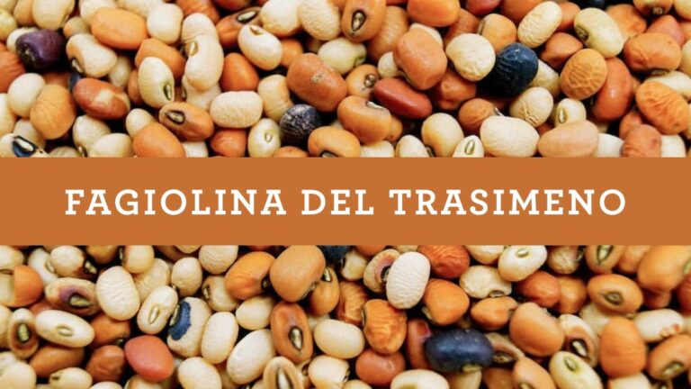 Fagiolina Del Trasimeno: The Little Bean That Could